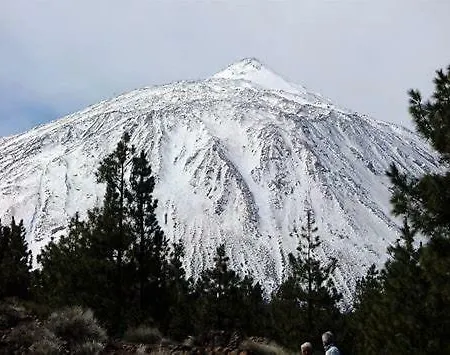 Chavi